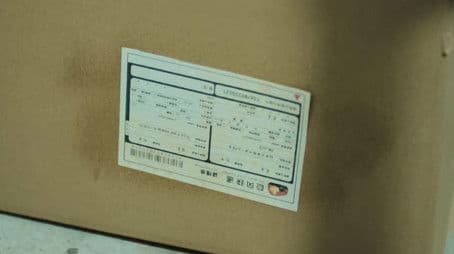 Speaking Snakes and Sudden Attacks