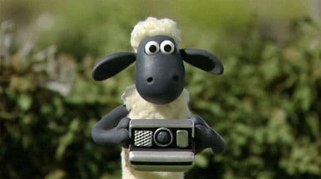 Shaun Shoots the Sheep