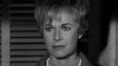 The Case of the Twelfth Wildcat