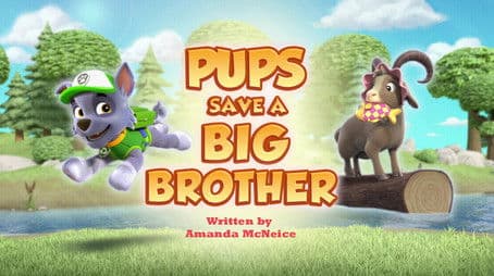 Pups Save a Big Brother