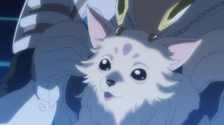 My Cute Puppy / Do Not Disturb