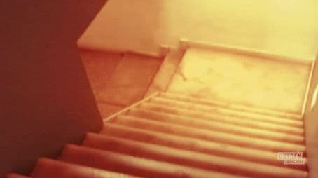 The Beauty and the Beast Mystery