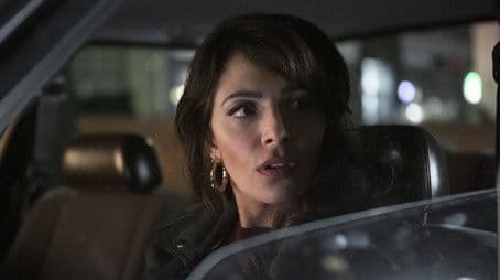 If Only the Fool Would Persist in His Folly