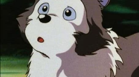 The Sun rises on a new day