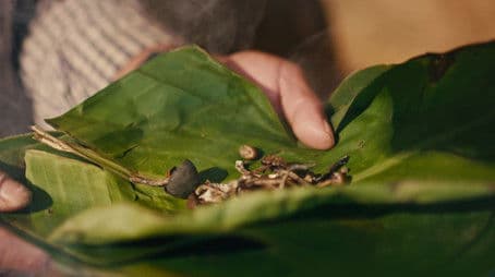 Wednesday, January 5, 2022