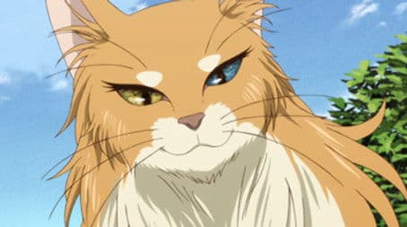 Everything must have a beginning.