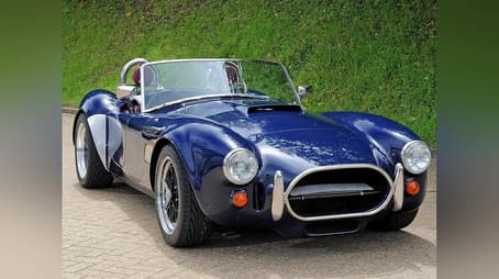 Top 5: Viewer's Choice