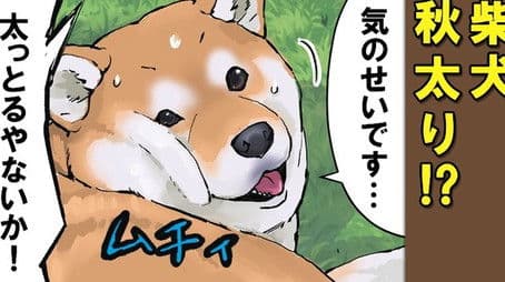 Shedding Season / Seasonal Wear / Sealed Away