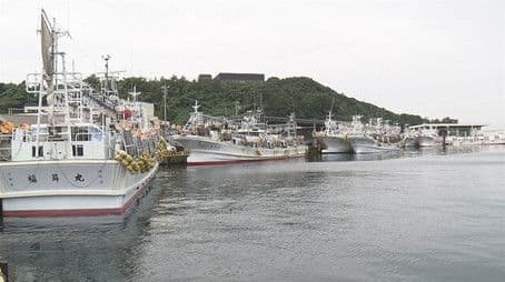 Life on the Squid Hunt