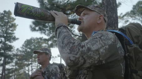 New Mexico Archery Elk