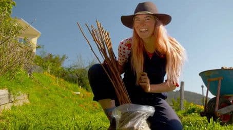 Episode 26 Raspberries, Urban Wildlife & Native Garden