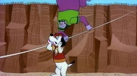 Who's New At The Zoo