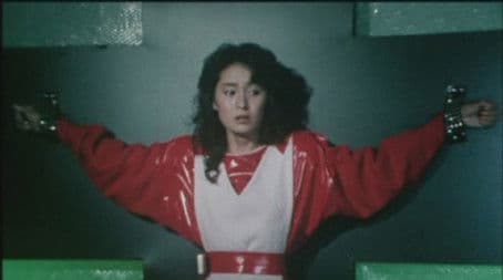 Shining Smiles Over Green Fields: Lott and Sachi's Flight