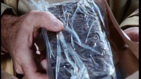 Death of a Stone Seahorse