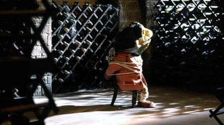 The Kidnapping of Toad