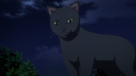 The Black Cat Yoru's Adventure (2)