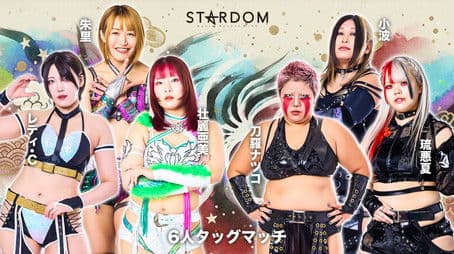 Stardom in Kitakami 2025
