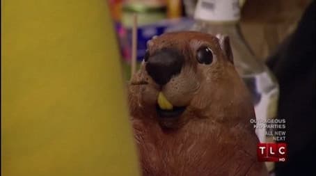 Staten Island Chuck, Strange Oddities and Sal