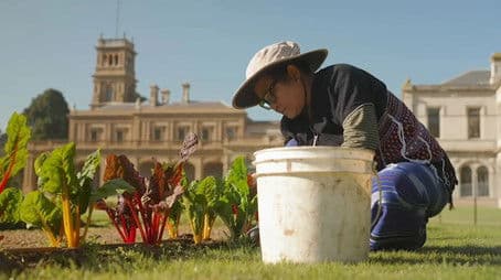 Episode 36 Spring: Native plant design and rental tips