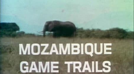 Mozambique Game Trails