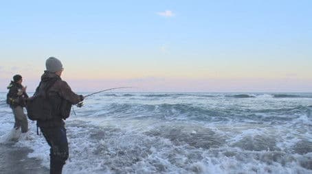 Miyazaki: In Pursuit of the Mysterious Giant Fish!