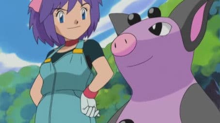 Pokéblock, Stock, and Berry