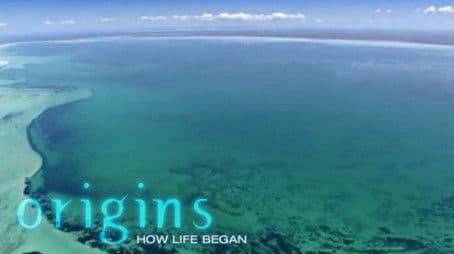 Origins: How Life Began