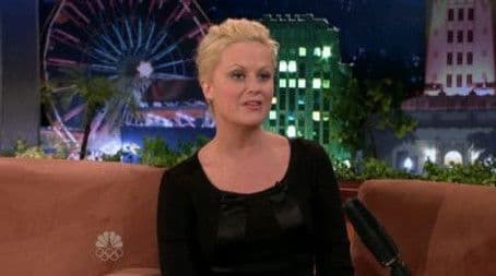 Amy Poehler, Magic Johnson & Larry Bird, The Bravery