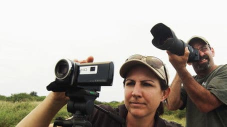 Lighting Fires, Elephant Kingdom, Acapella Sensation