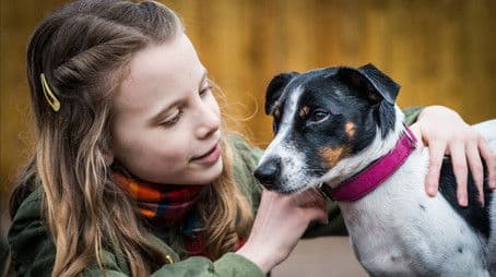 Ein Buch für Murphy