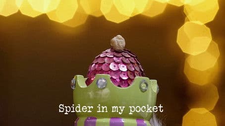 Spider in My Pocket