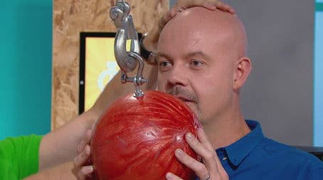 Fruit and Veg Cannon