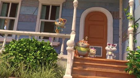 Gaby, the Reporter Cat