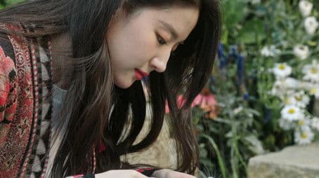 A Colorful Mix of Tenants