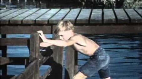 Flipper's Odyssey (2)