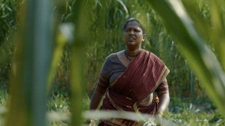 The Unsolved Mystery