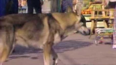 Duddleman and the Diamond Ring