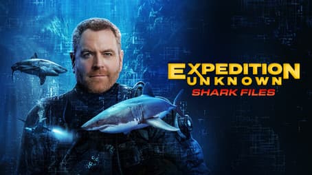 Expedition Files: Shark Files