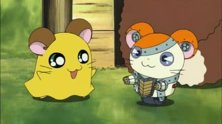 Super Hamster Robo-Joe