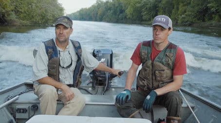 The Mud and The Trees