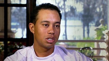 Tiger's Prints - Tiger's Cubs