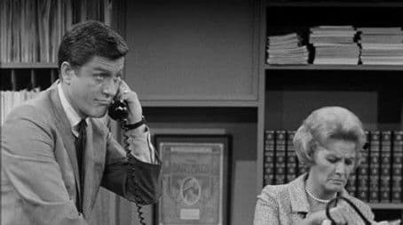 Go Tell the Birds and Bees