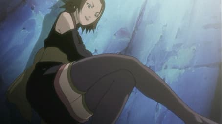 A Battle of Bugs: The Deceivers and the Deceived