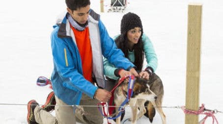 Who Designs These Torture Tests?