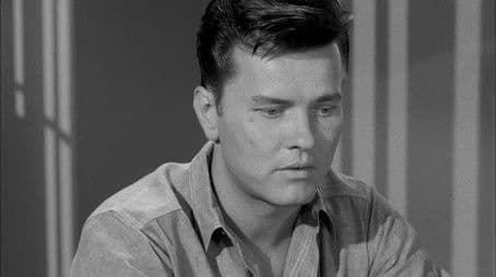 The Case of the Hateful Hero