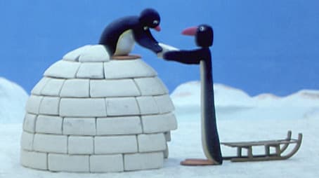 Pingu Builds an Igloo