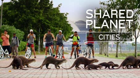 Shared Planet: Cities