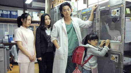 The Stray Dog Which Risked Its Life for Love