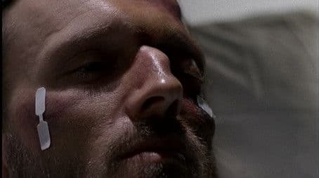 The Wild and the Innocent