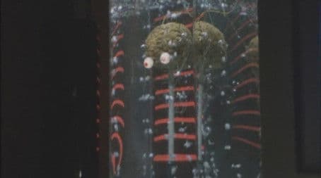 1 Plus 1 Equals 5? Diana Smash Plan